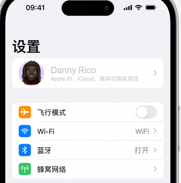 大余appleID维修服务iPhone设置中Apple ID显示为灰色无法使用