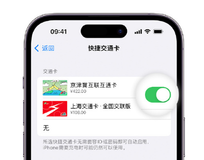 大余apple维修点分享iPhone上更换Apple Pay快捷交通卡手绘卡面 