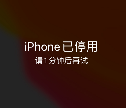 大余苹果手机维修分享:iPhone 显示“不可用”或“已停用”怎么办？还能保留数据吗？ 