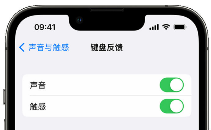 大余苹果手机维修分享iPhone 14触感键盘使用方法 