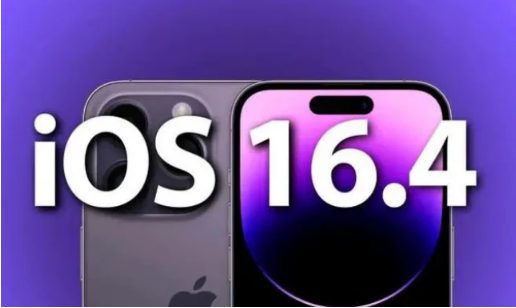 大余苹果14维修分享：iPhone14可以升级iOS16.4beta2吗？ 