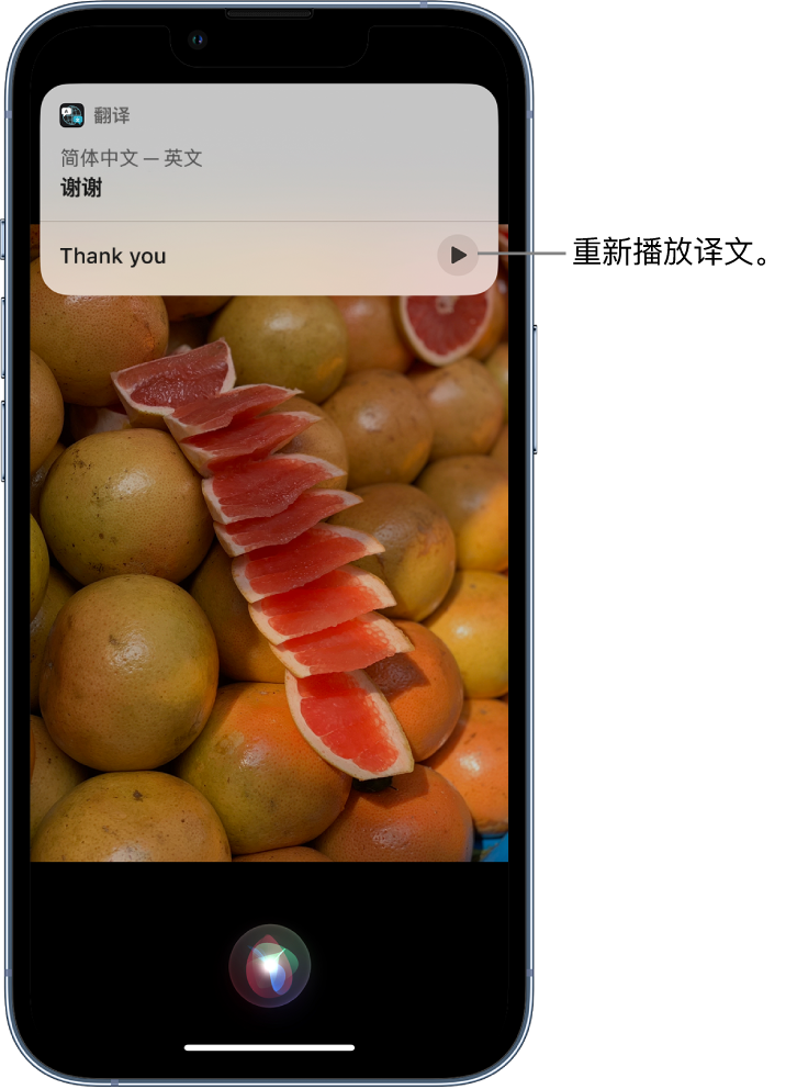 大余苹果14维修分享 iPhone 14 机型中使用 Siri：了解 Siri 能帮你做什么 