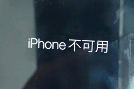 大余苹果服务网点分享锁屏界面显示“iPhone 不可用”如何解决 