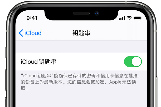 大余苹果手机维修分享在 iPhone 上开启 iCloud 钥匙串之后会储存哪些信息 