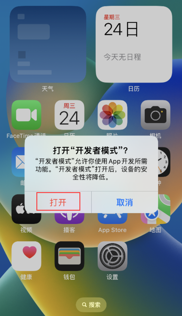 大余苹果手机维修分享如何打开开发者模式 
