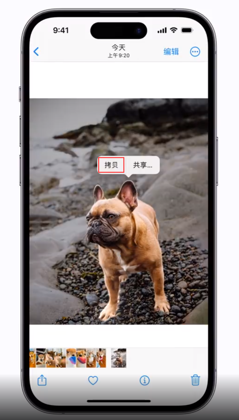 大余苹果手机维修分享 iOS 16 自带一键抠图功能 