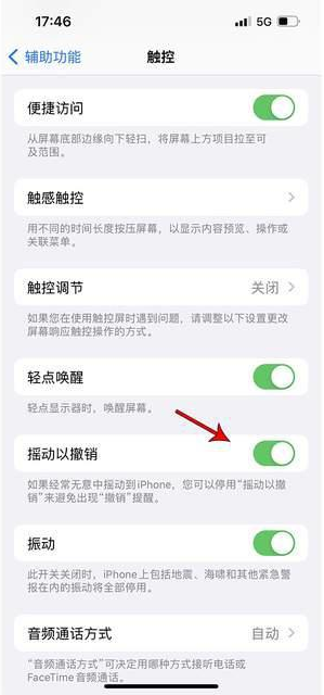 大余苹果手机维修分享iPhone手机如何设置摇一摇删除文字 