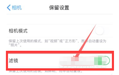 大余苹果13维修分享iPhone13拍照有绿点是怎么回事 