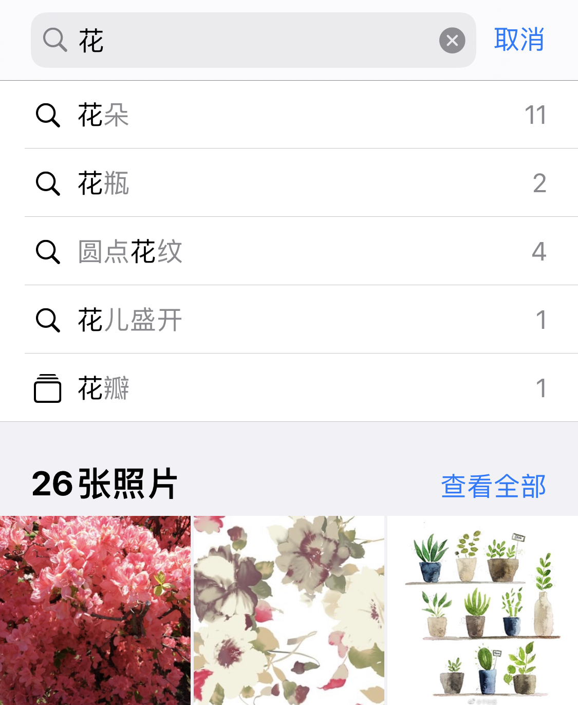 大余苹果手机维修分享iPhone 小技巧 
