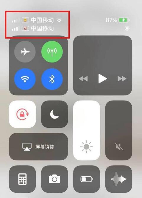大余苹果手机维修分享为 iPhone 12 双卡设置标签 