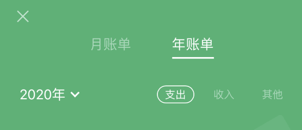大余苹果手机维修分享如何在 iPhone 上查看支付宝和微信年支出账单 