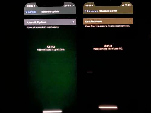 大余苹果手机维修分享iPhone 12 显示黑色画面时发绿光怎么办 
