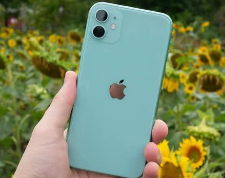 大余苹果维修点分享iPhone 11锁屏密码认知与使用科普 